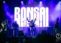 16-Bane-BOnsai-Bologna-20240623