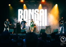 17-Bane-BOnsai-Bologna-20240623