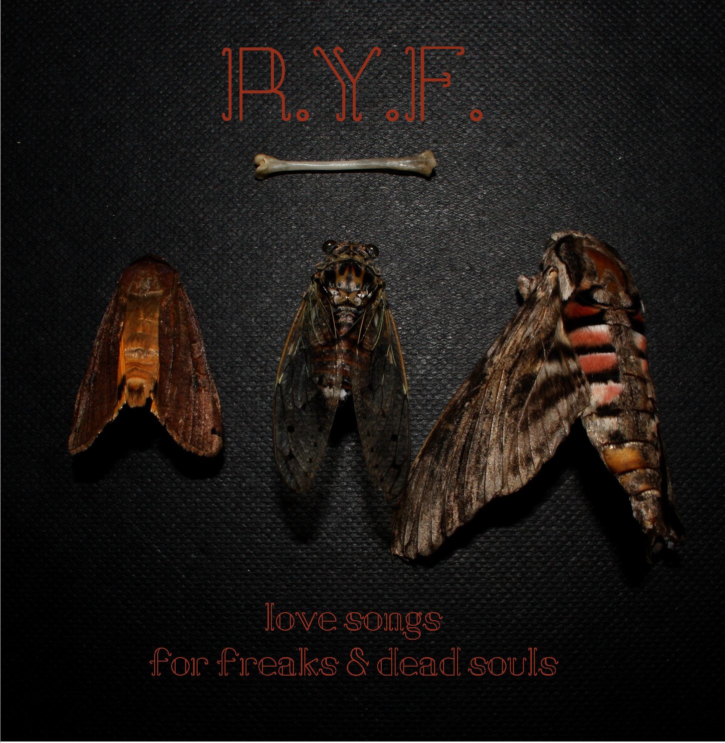 R.Y.F. - Love Songs For Freaks & Dead Souls