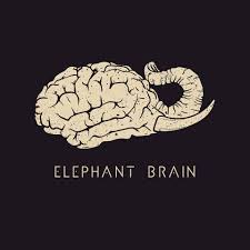 Elephant Brain - Elephant Brain