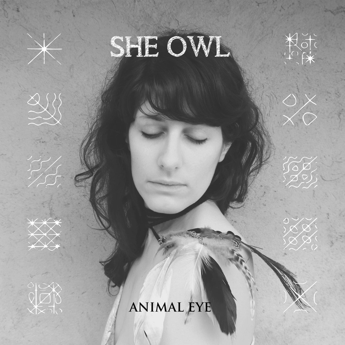 She Owl - Animal Eye