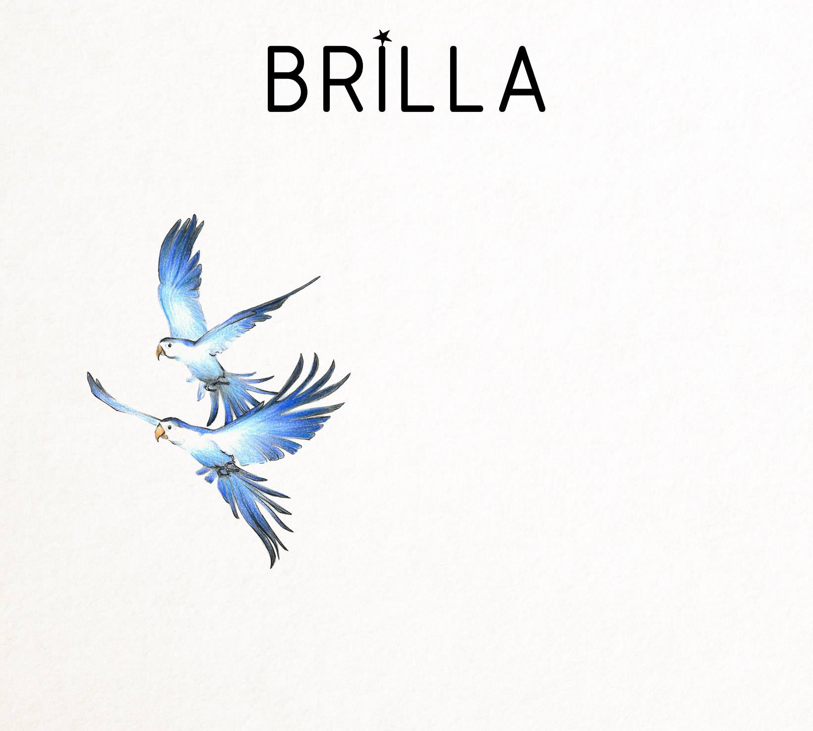 Brilla - Brilla